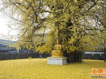 西安古观音禅寺几月份去好