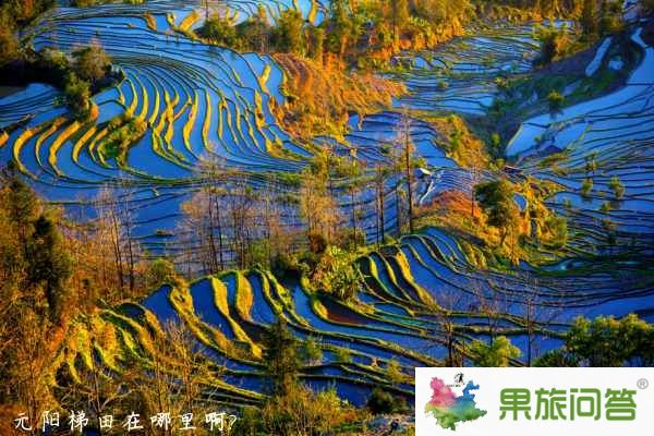 元阳梯田风景