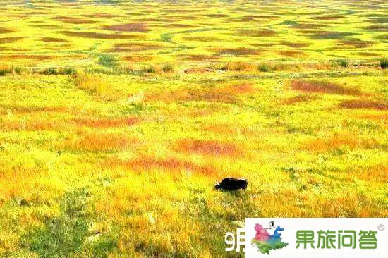 9月份的香格里拉——今年9月想去丽江昆明大理旅游好吗