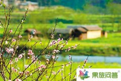 云南坝美旅游最佳时间和季节