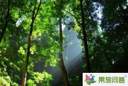 <b>昆明石林楚雄,大理丽江6日高端品质游 （面朝大海之浪漫海景系列）</b>