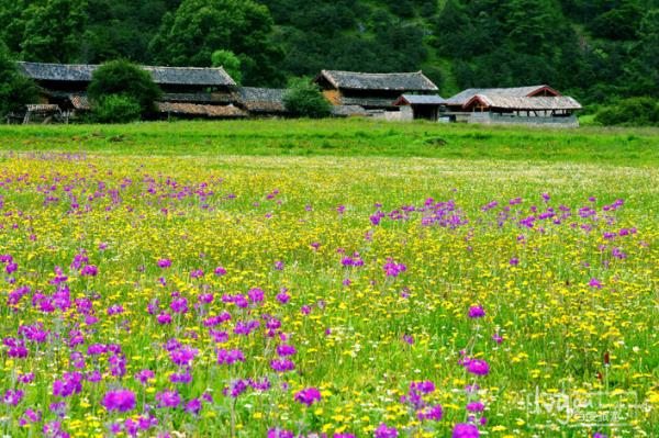 丽江好玩的地方——九子海_丽江旅游景点推荐 丽江自助游攻略2014