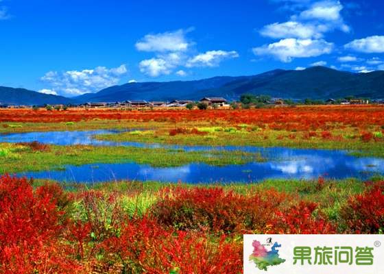昆明、大理、丽江、香格里拉 7晚8天 生态休闲之旅