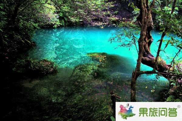 昆明、大理、丽江、西双版纳”7晚8天生态休闲之旅