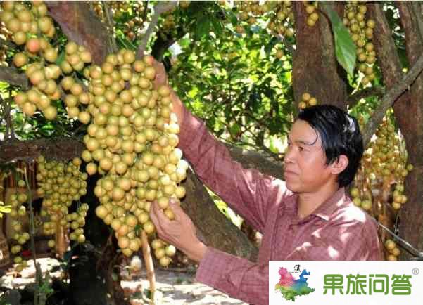 西双版纳让人神魂颠倒的地方