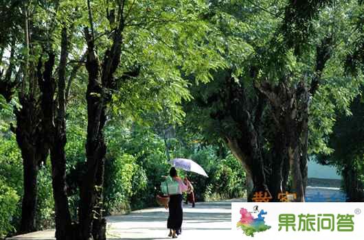 云南旅游自由自在散客游--西双版纳 在从云南归来的阳光午后—云南游记