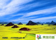 云南旅游别错过了罗平花海我的故乡