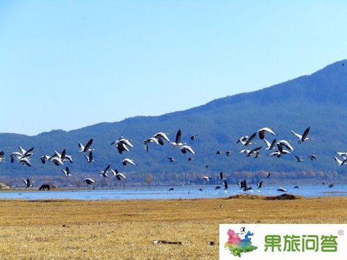 十年间:丽江穿越时光的爱恋 10大最美景点点评