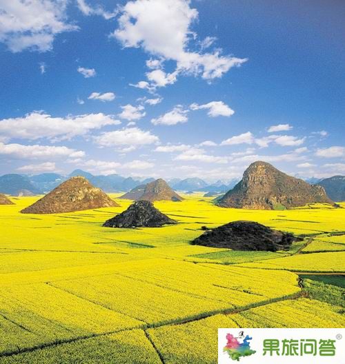 罗平油菜花