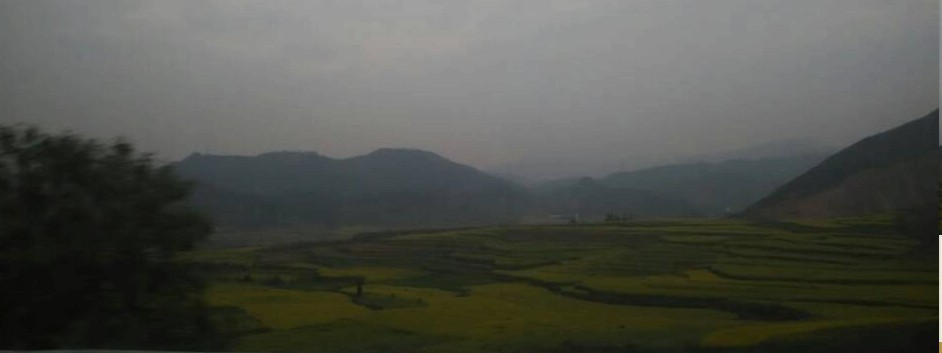 云南罗平油菜花已经开了,你还等什么?
