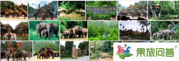 西双版纳(野象谷、热带植物园)组图