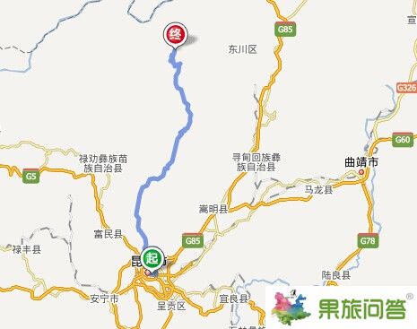 想了解昆明到轿子雪山路线，顺便问下昆明到轿子雪山旅游有多少公里?