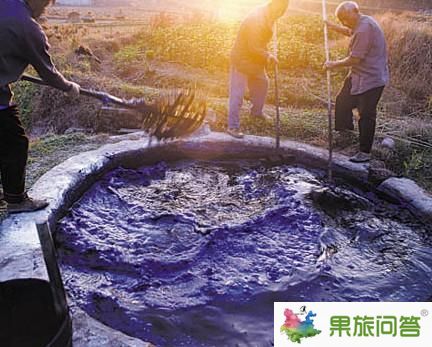蓝染根是什么?蓝染根产在大理吗?蓝染技术现在还有吗?