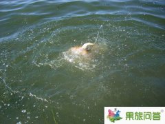 <b>大理洱海水有多深|大理洱海有没有水怪？</b>